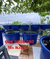 Cung cấp thùng nhựa tròn nuôi cá, chậu nhựa trồng cây - 096 3839 597 Ms Kính
