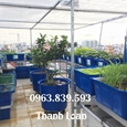 Khay nhựa đặc - thùng nhựa chữ nhật trồng rau, nuôi cá / 0963 839 593 Ms.Loan