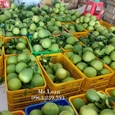 Rổ nhựa 3T9 - Sọt nhựa, rổ đựng trái cây giảm giá rẻ / 0963 839 593 Ms.Loan