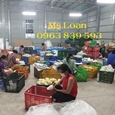 Sóng hở đựng trái cây, nông sản, rổ nhựa đựng hải sản rẻ / 0963 839 593 Ms.Loan