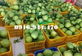 Cung cấp rổ nhựa đựng trái cây, đựng hàng hóa giá tốt- 0916.944.470 Ms Duyên Nguyễn